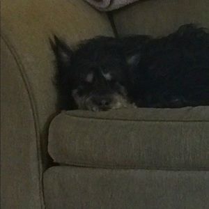 Meet your Posher, Lexi